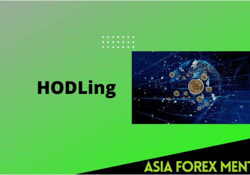 HODLing Crypto: Successful Crypto Investing Strategy