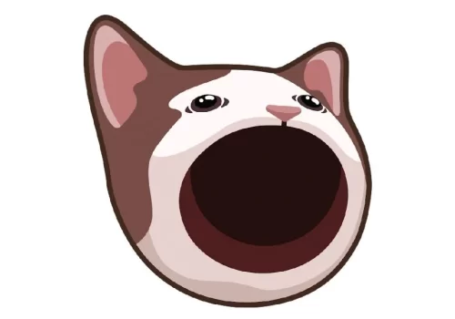 Meme Coin? Popcat Crypto EXPOSED! HUGE Risk?