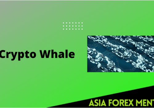 Track Crypto Whales and Take Advantage of Large and Unusual Transactions